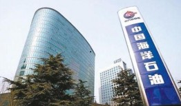 中国石化最新爆料,揭秘能源巨头转型之路与未来战略布局